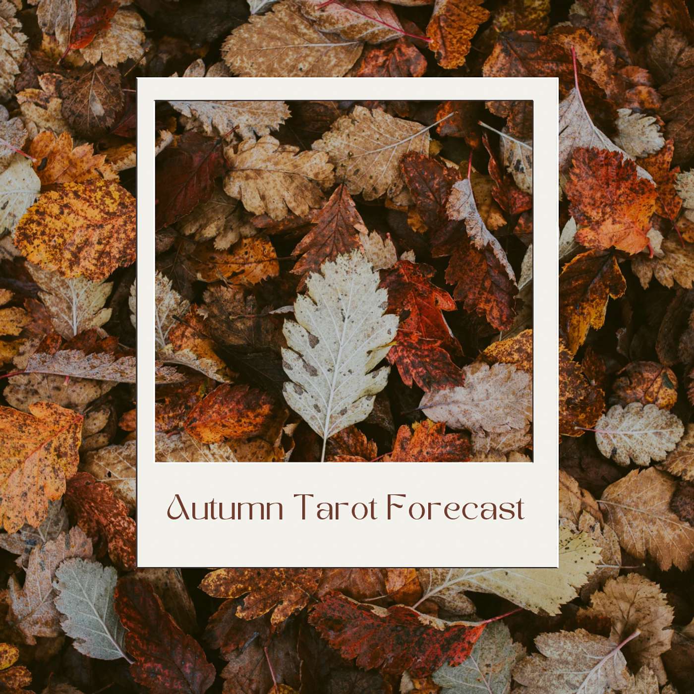 Autumn Tarot Forecast episode artwork