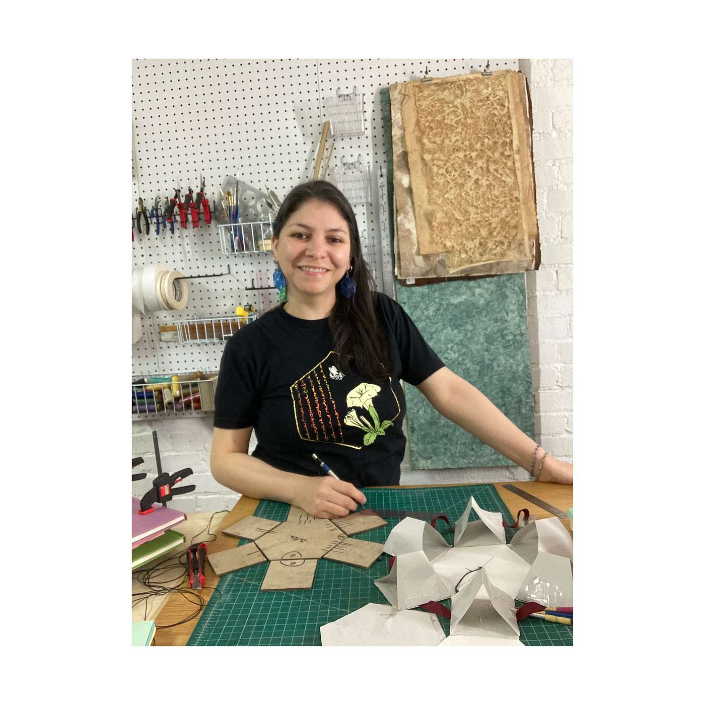 Pollinating the World through Art & Dreams with Ana Bedolla episode artwork