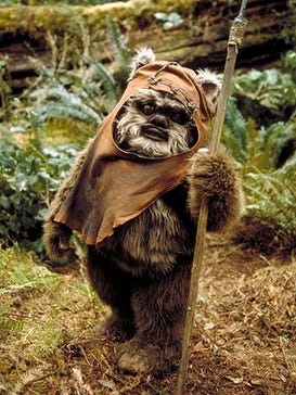 Hello You 23: I'm an Ewok. No, I'm #AWOC