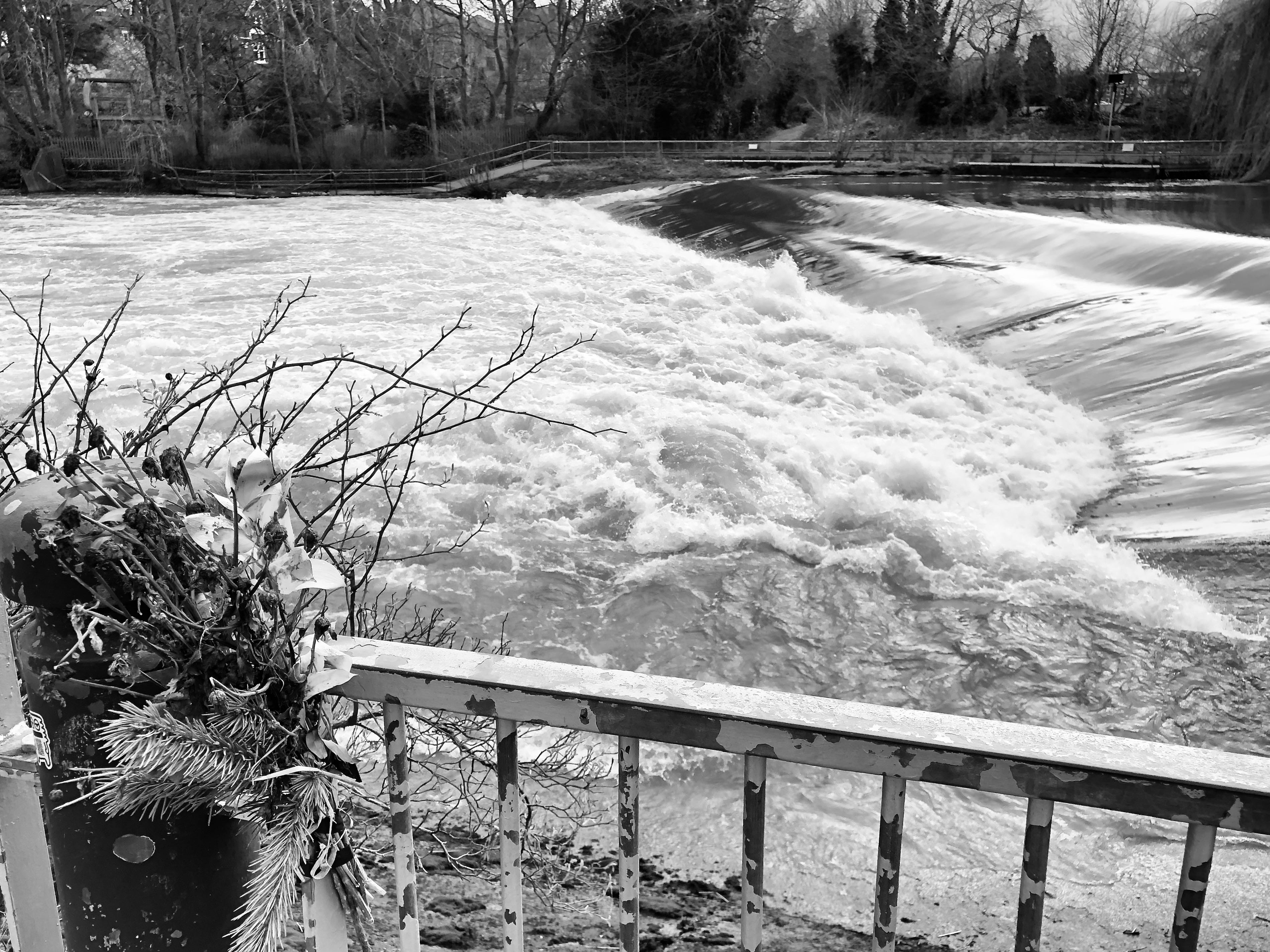 Hello You 25: Never the Same River