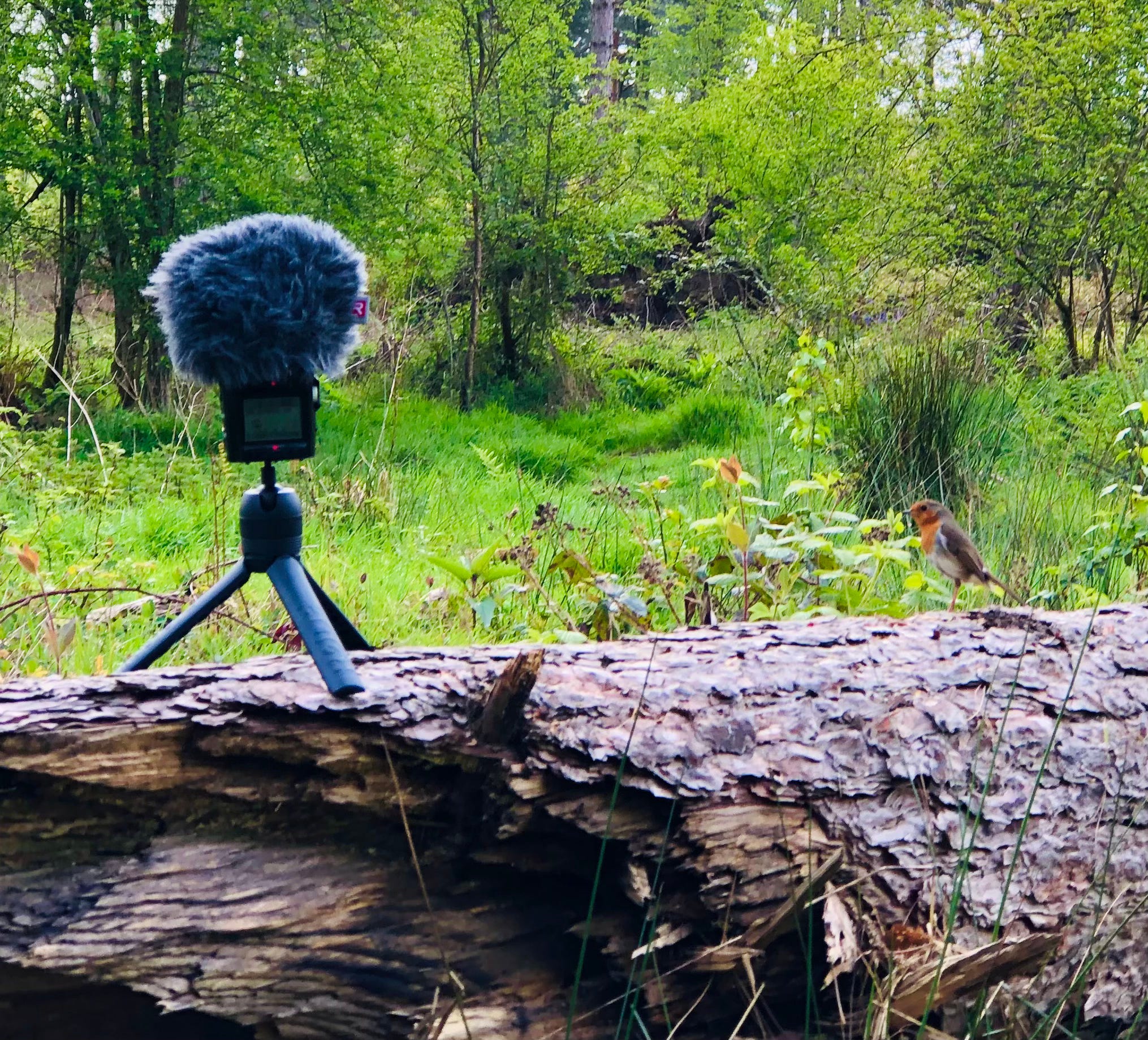 Hello You 34: "You make your own family, don't you?"