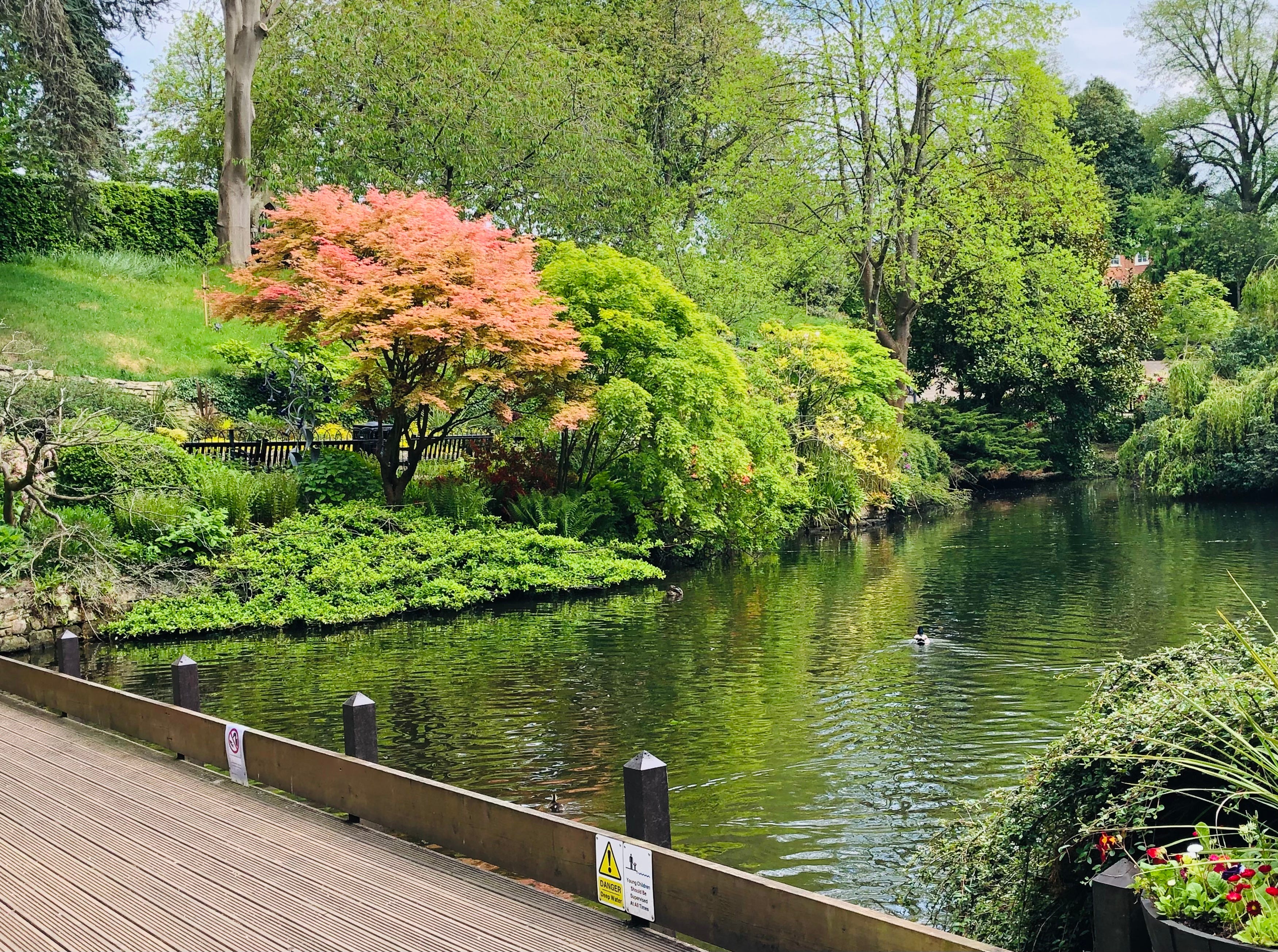 Hello You 36: Jade, John & Jason, on a bench in Shrewsbury's Dingle