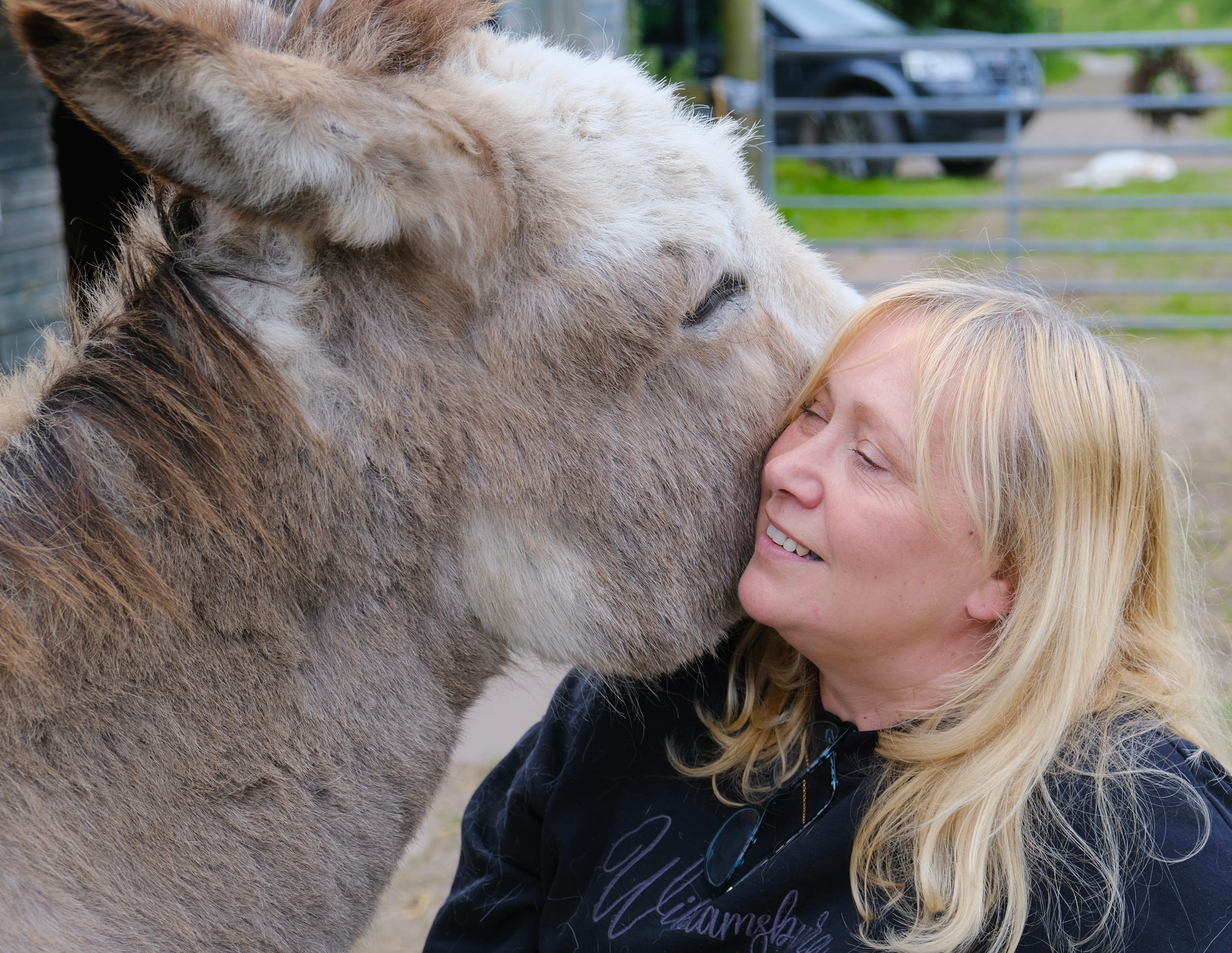 Hello You 45: How Horses Can Help Us Understand Ourselves, and Be Better