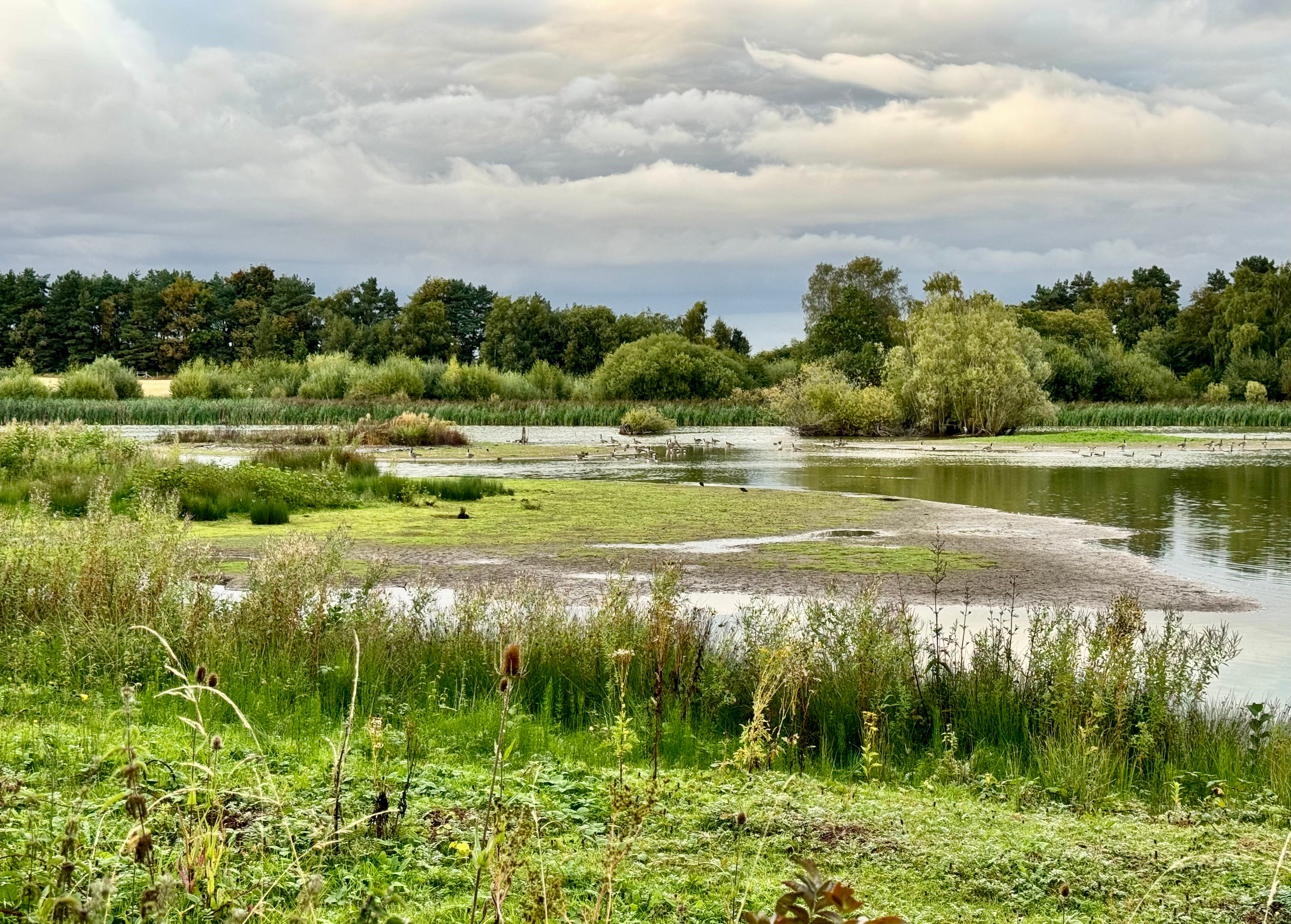 Hello You 62: Dusk at Venus Pool