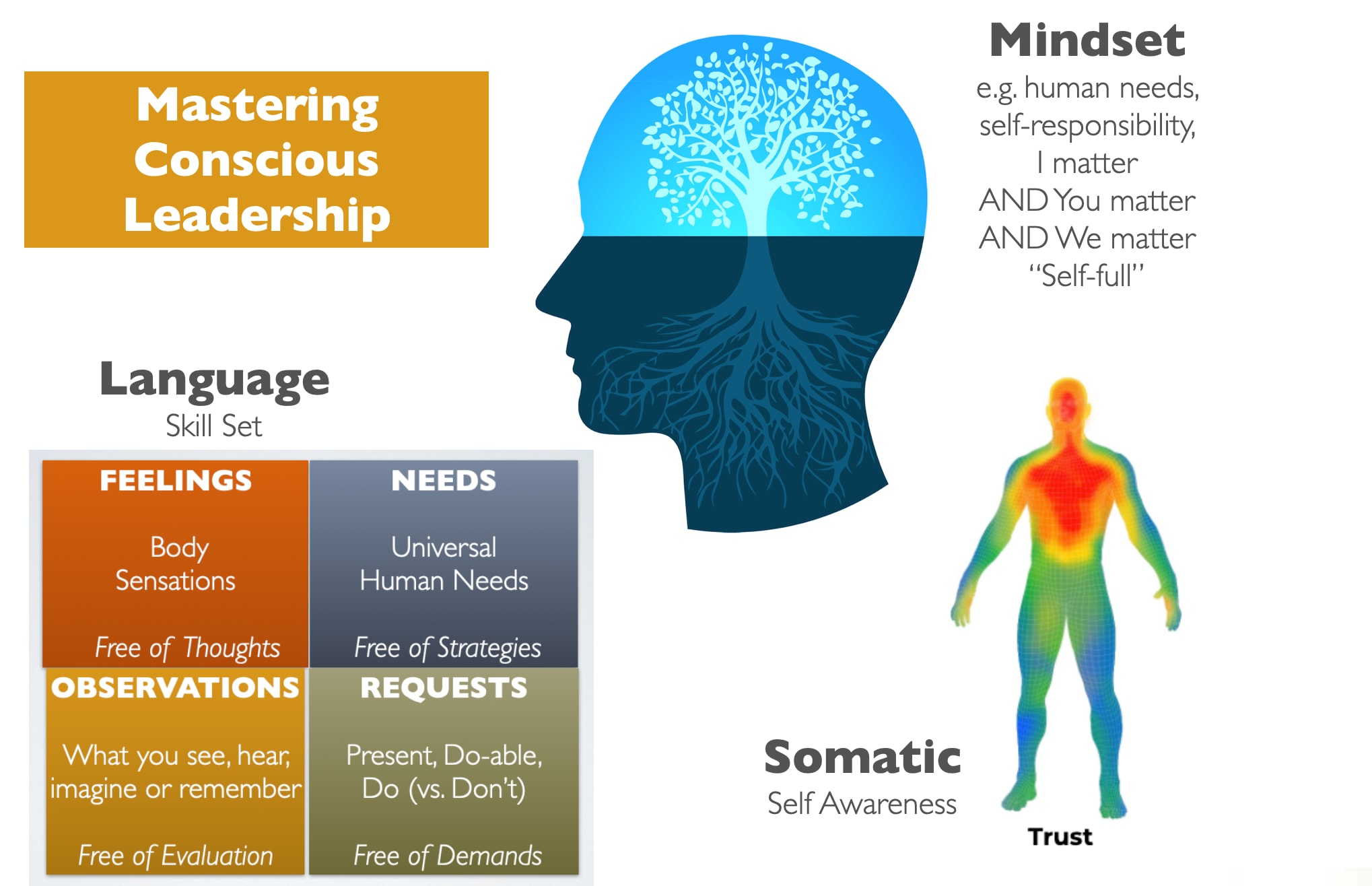 Becoming a More Conscious Leader Podcast