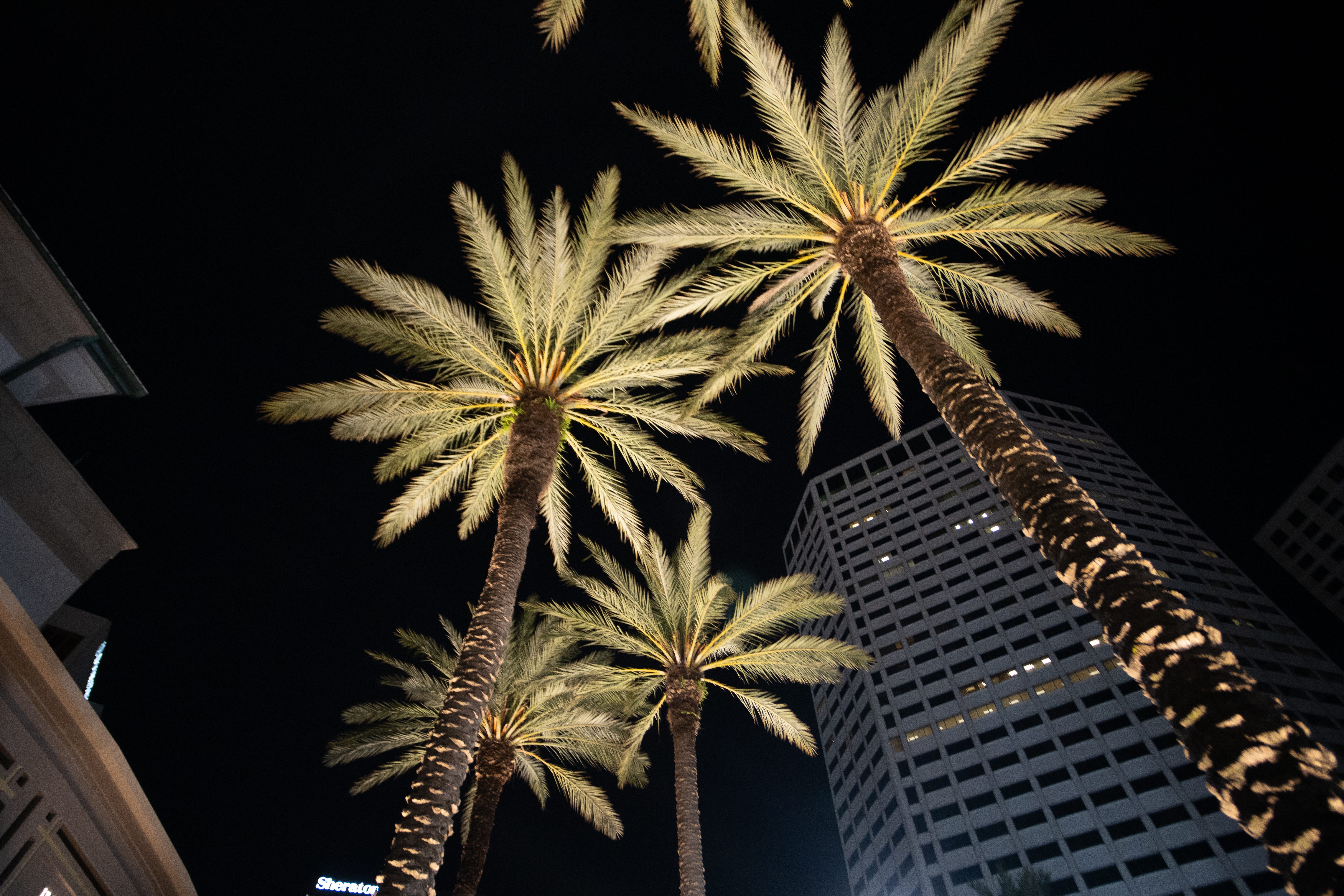 The Focus LBK Podcast