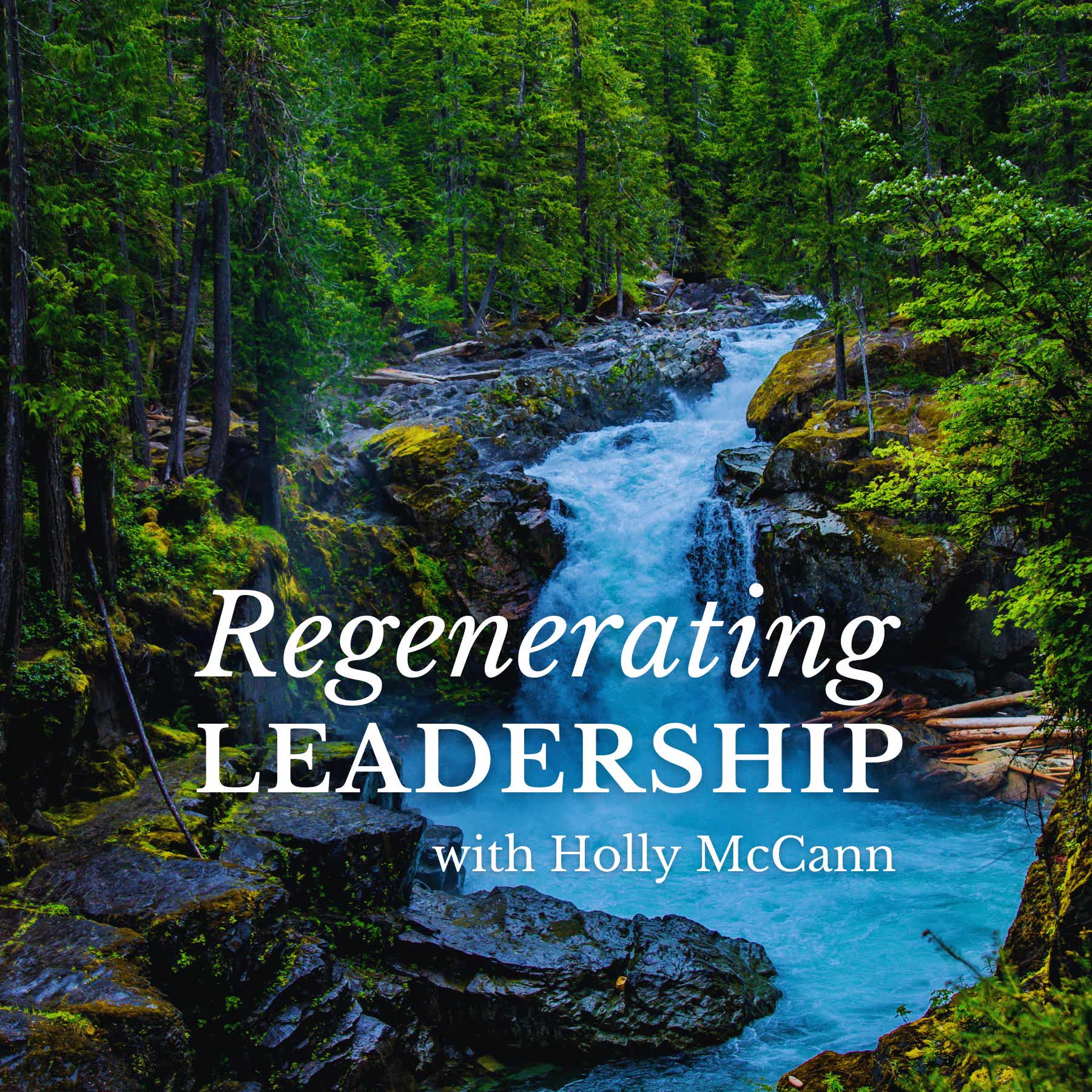 Regenerating Leadership Podcast podcast artwork