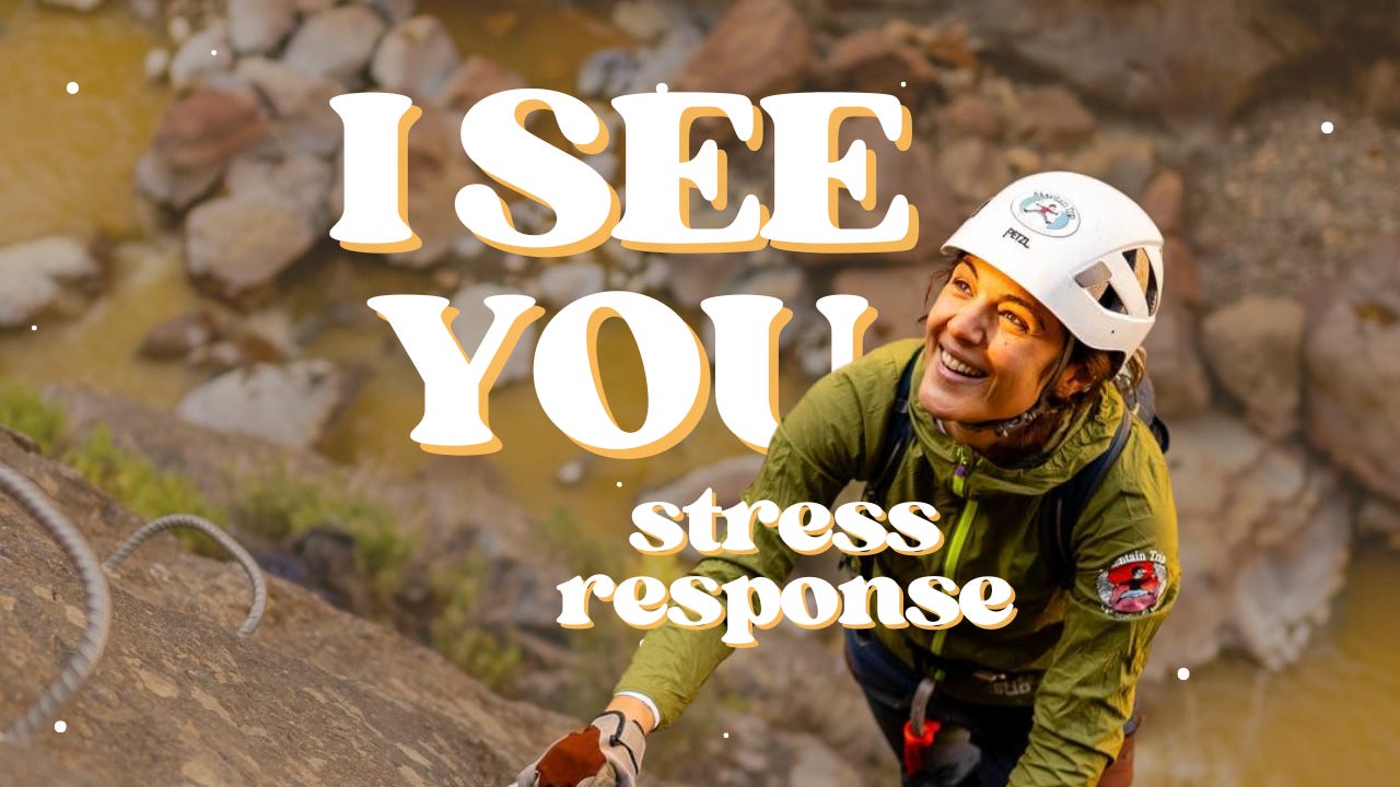 Conflict avoidance, people pleasing, workaholism: all nervous system responses - TBK #9