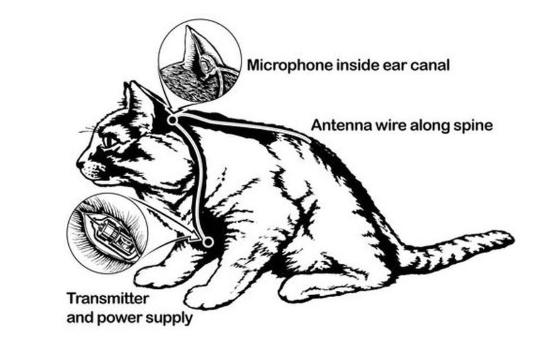 How to Predict the Future How to Predict the Future