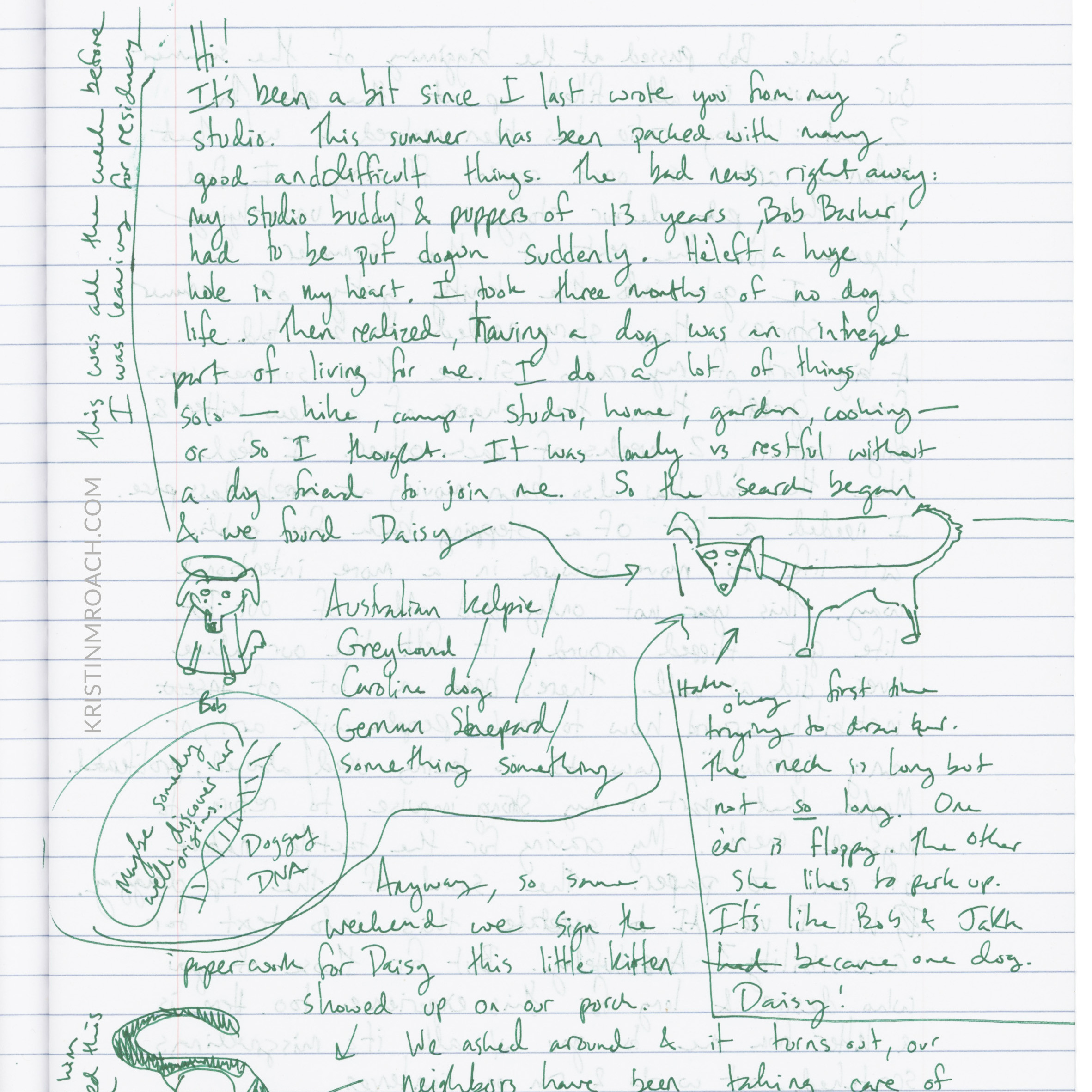 The time I got ants in my pants episode artwork