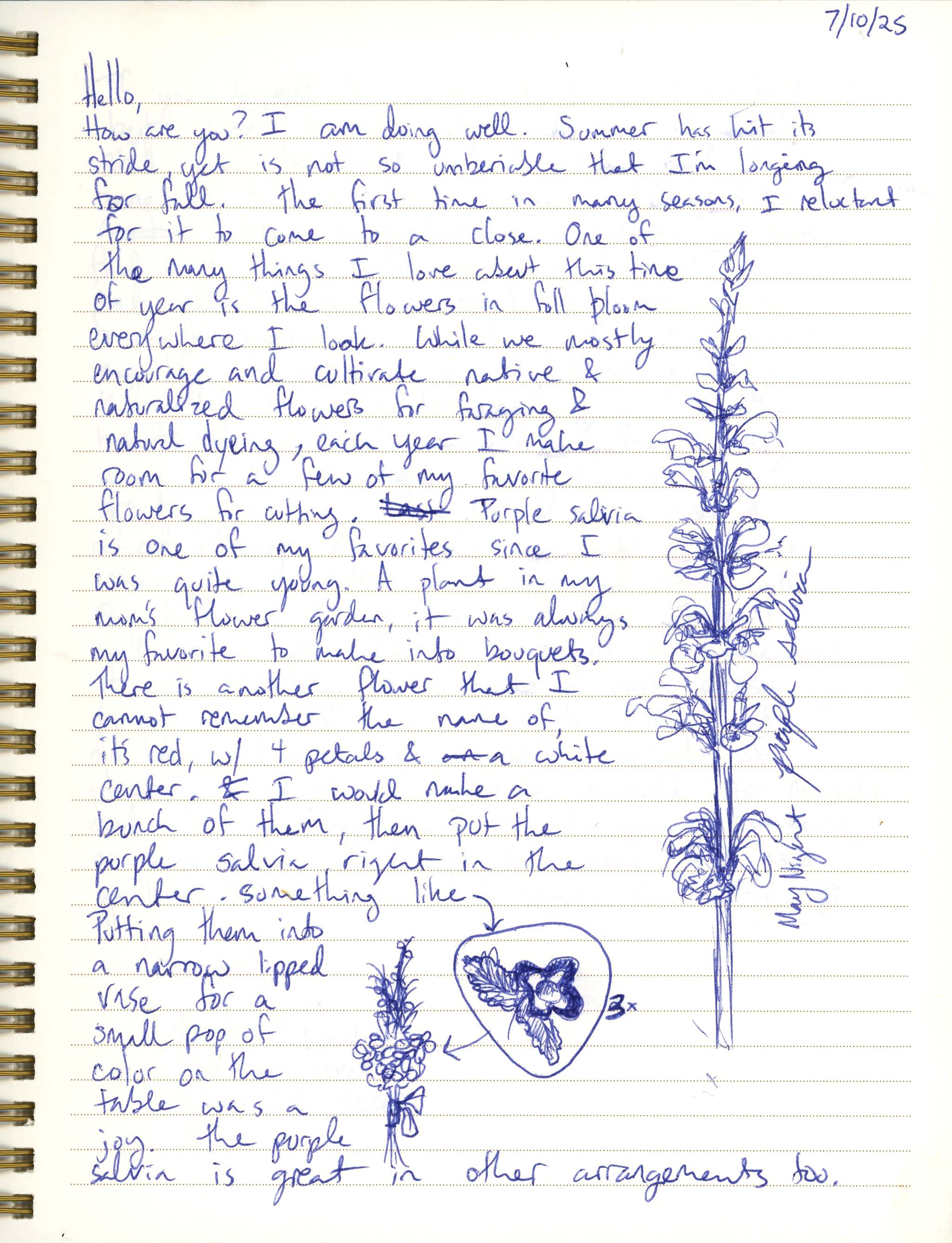 The Memories Flowers Hold. episode artwork