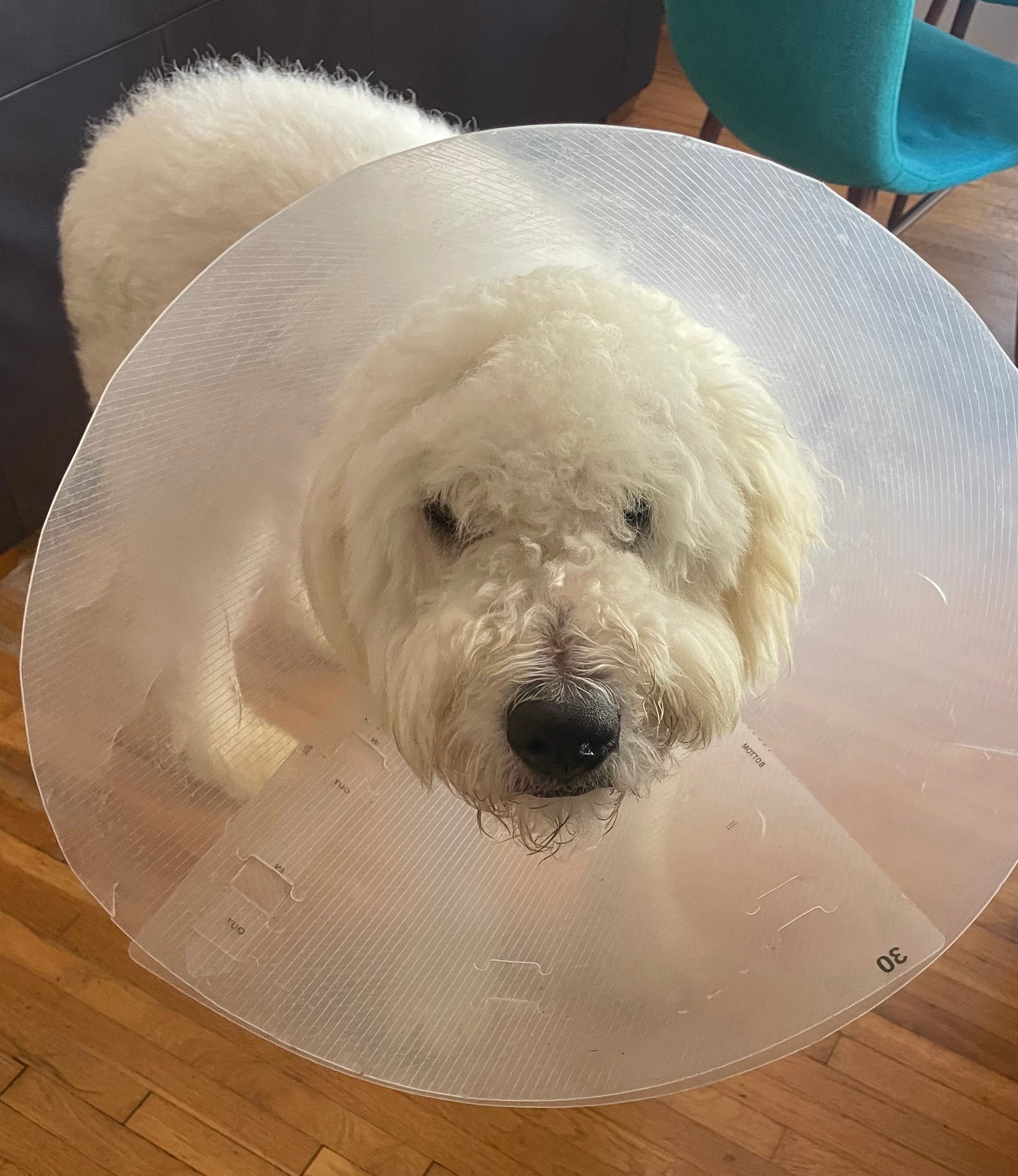 Off the Page with Dana DuBois