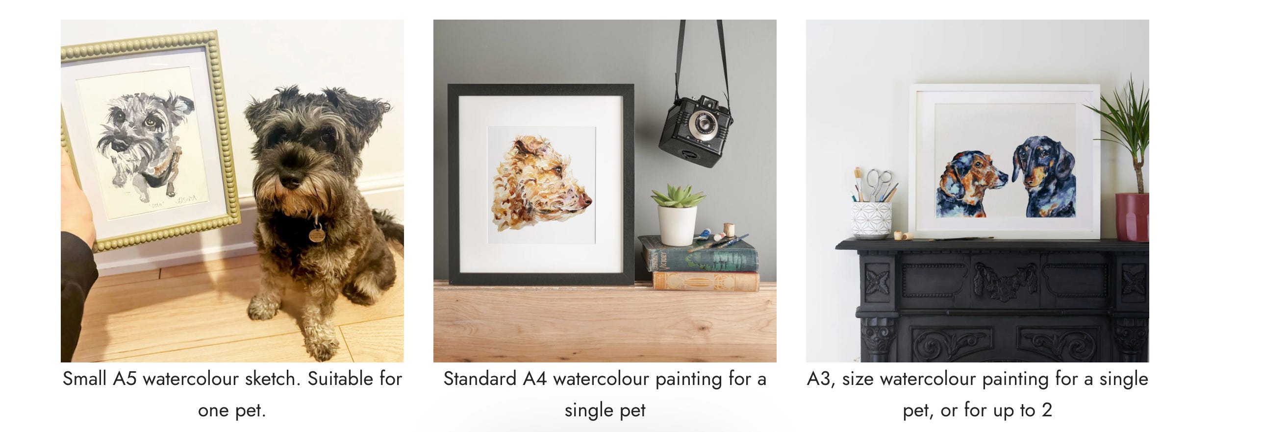 Substack as a Springboard for a Successful Art Business with Jo Scott