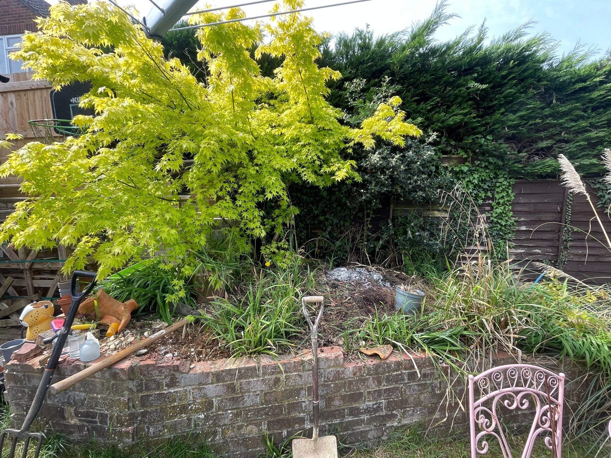 From frozen to flourishing: a woodland garden transformation episode artwork