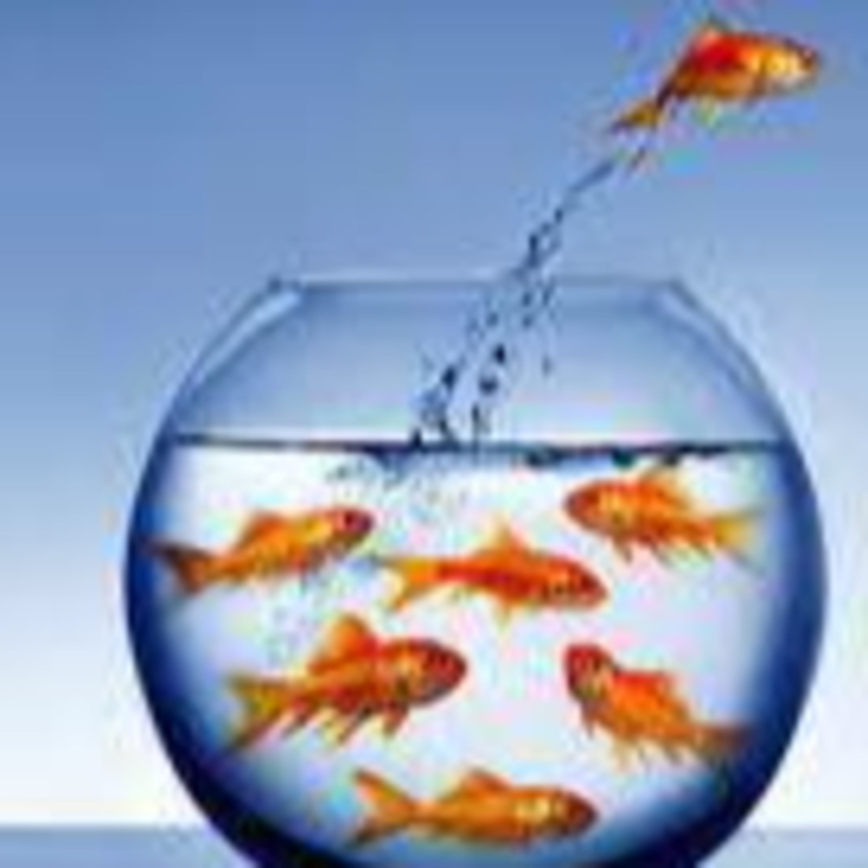 Pensiero, anima, libertà