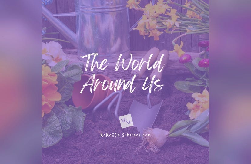 The World Around You episode artwork
