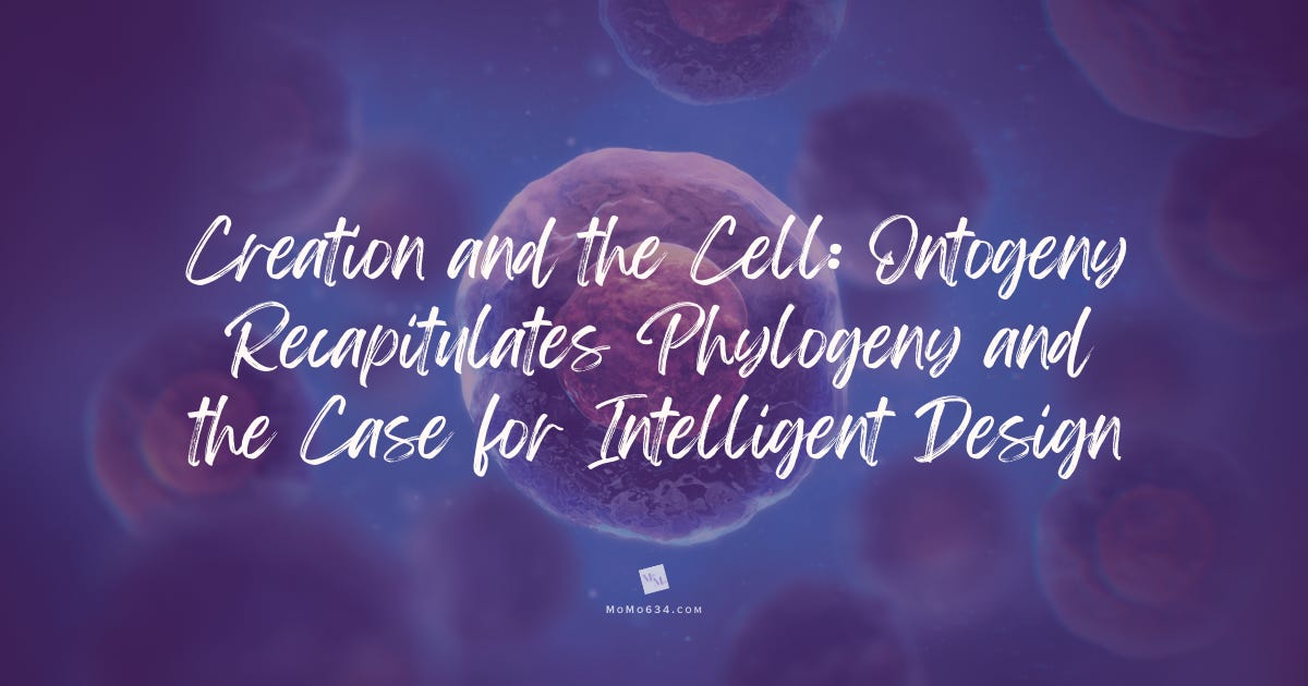 MoMo634 - MOtivational MOments