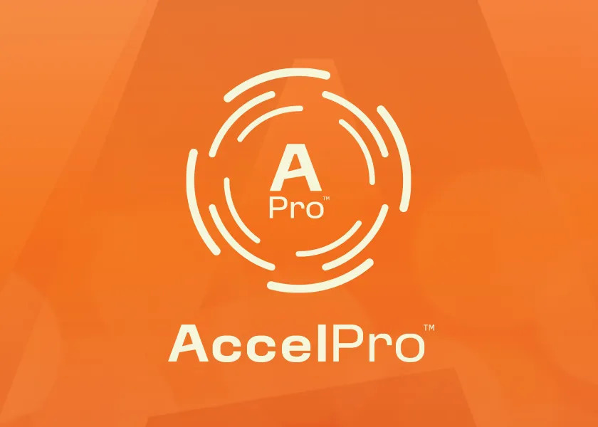AccelPro | Audit