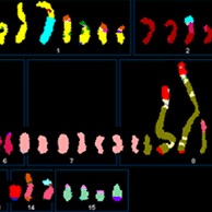 Frontiers of Sequencing: Putting Long Reads and Graph Assemblies to Work episode artwork