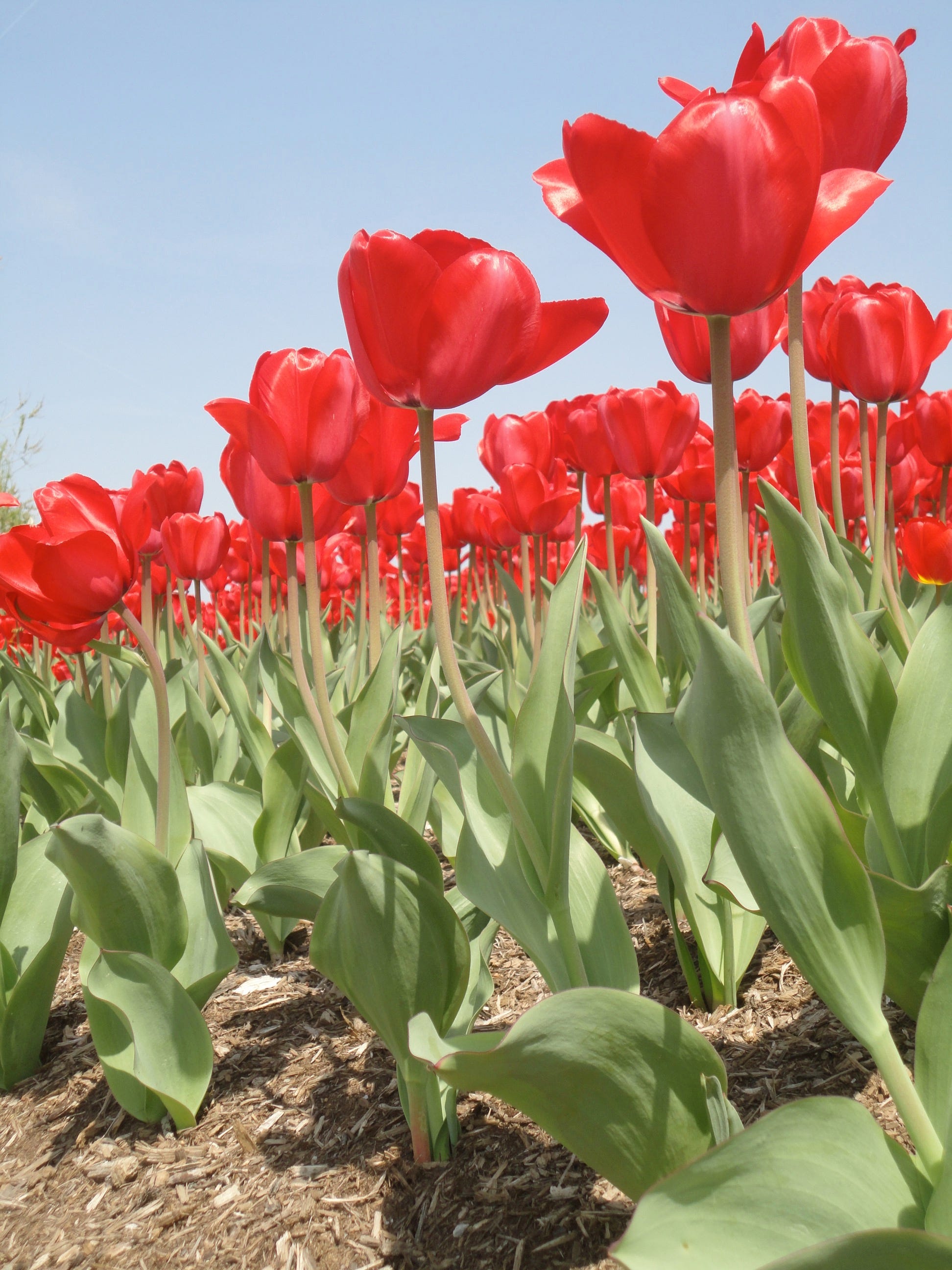 Monday Morning Motivation with Dale Jones