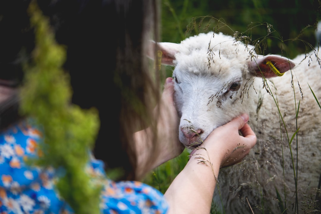 Speaking Truth Podcast