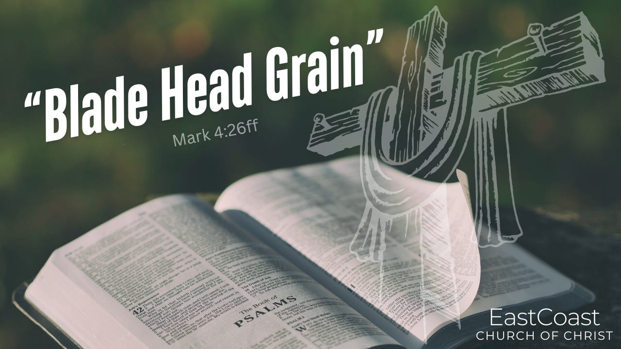 "The Blade. The Head. The Grain"