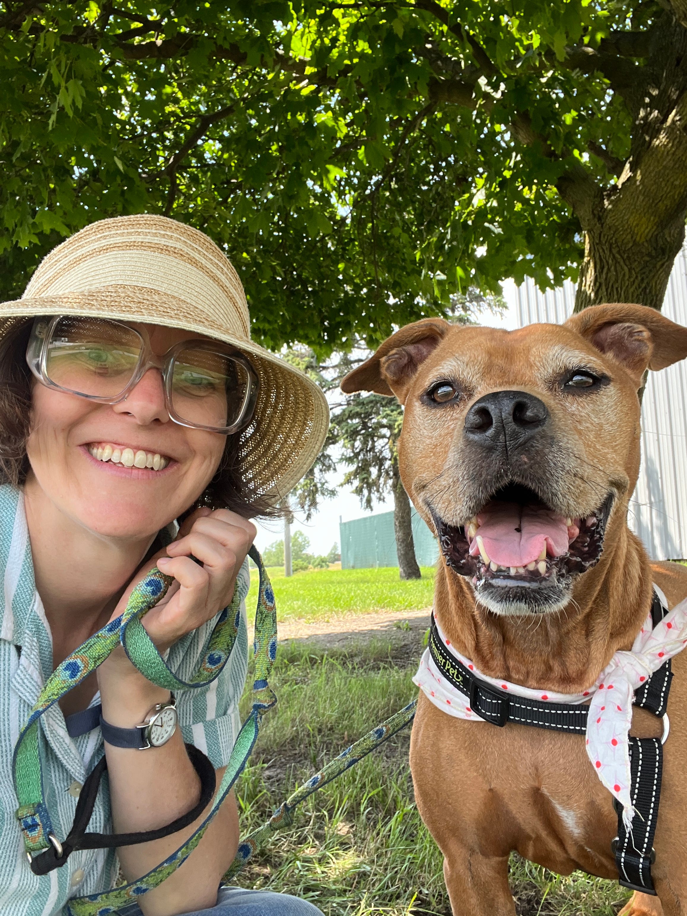 How Ginger found her way home