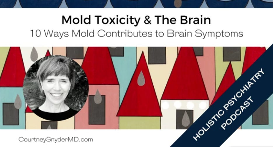 Holistic Psychiatry Podcast