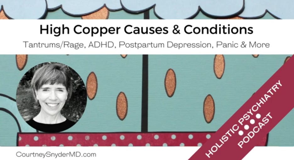 Holistic Psychiatry Podcast