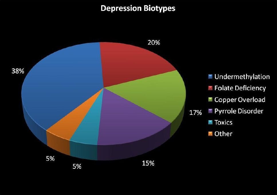 Walsh Biotypes of Depression With a Focus on Undermethylation episode artwork