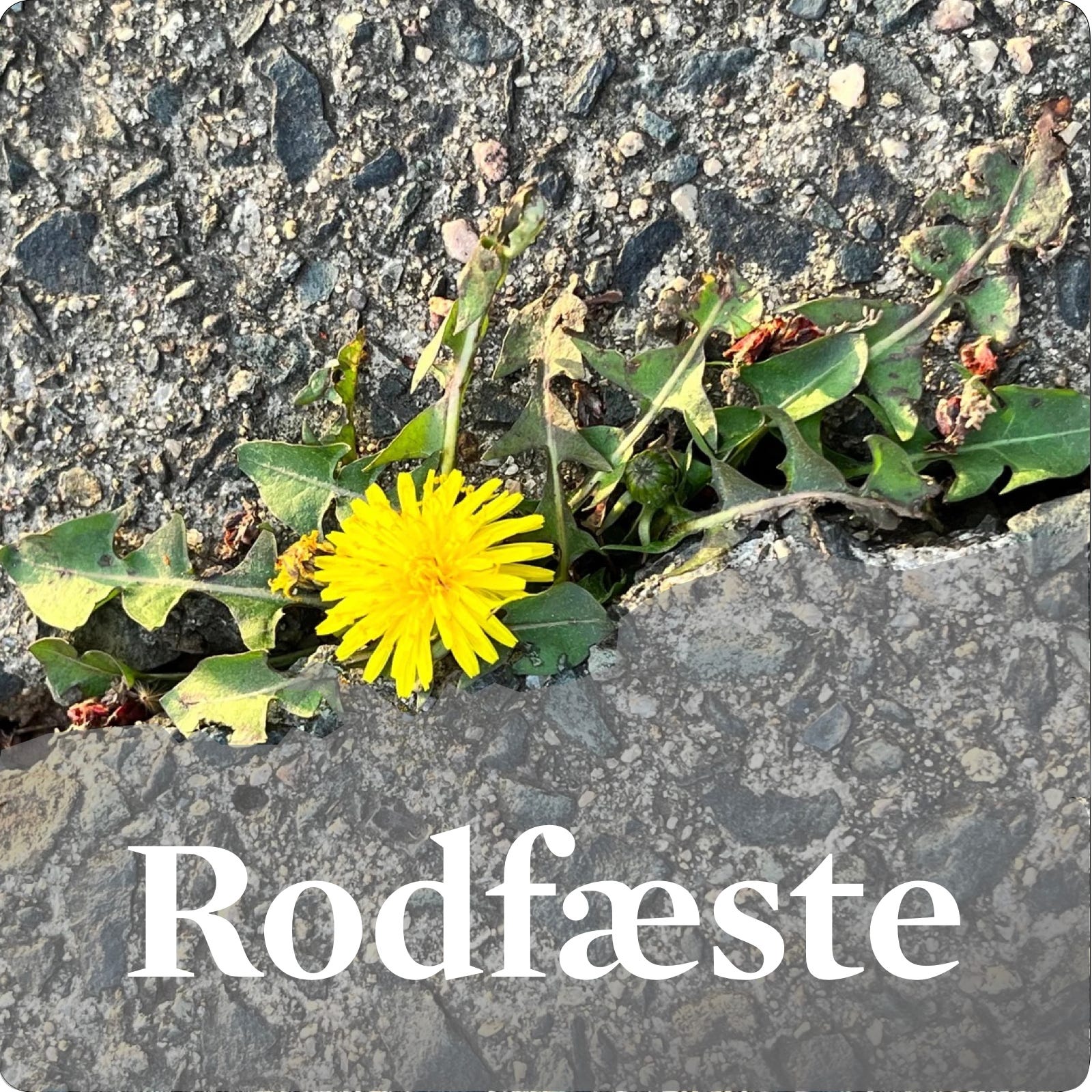 2. Ånd fremfor regler