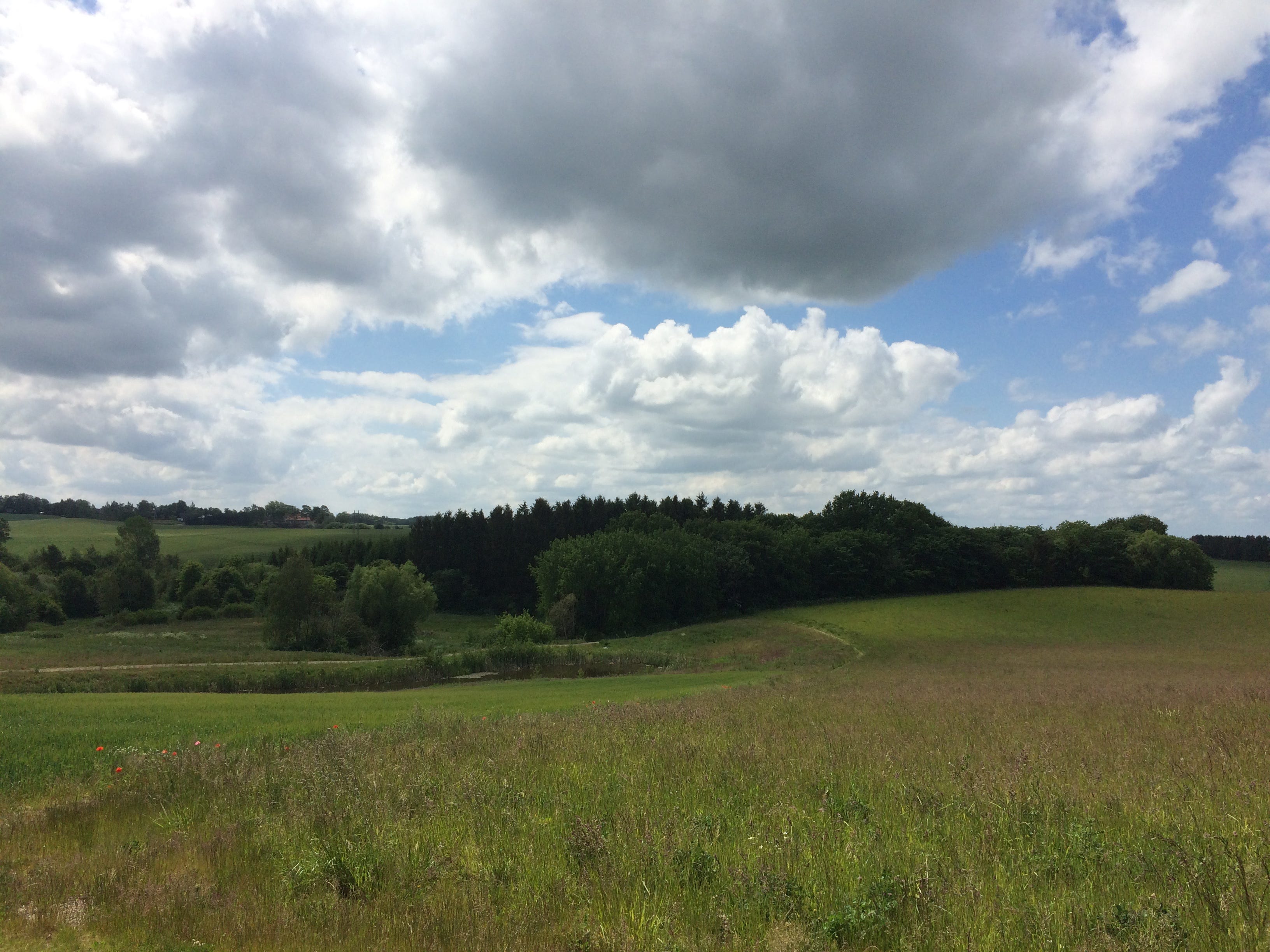 4. Omplantet