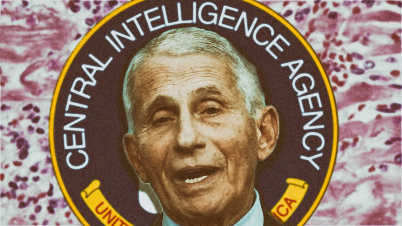  CIA Whistleblower Destroys Fauci Lies episode artwork