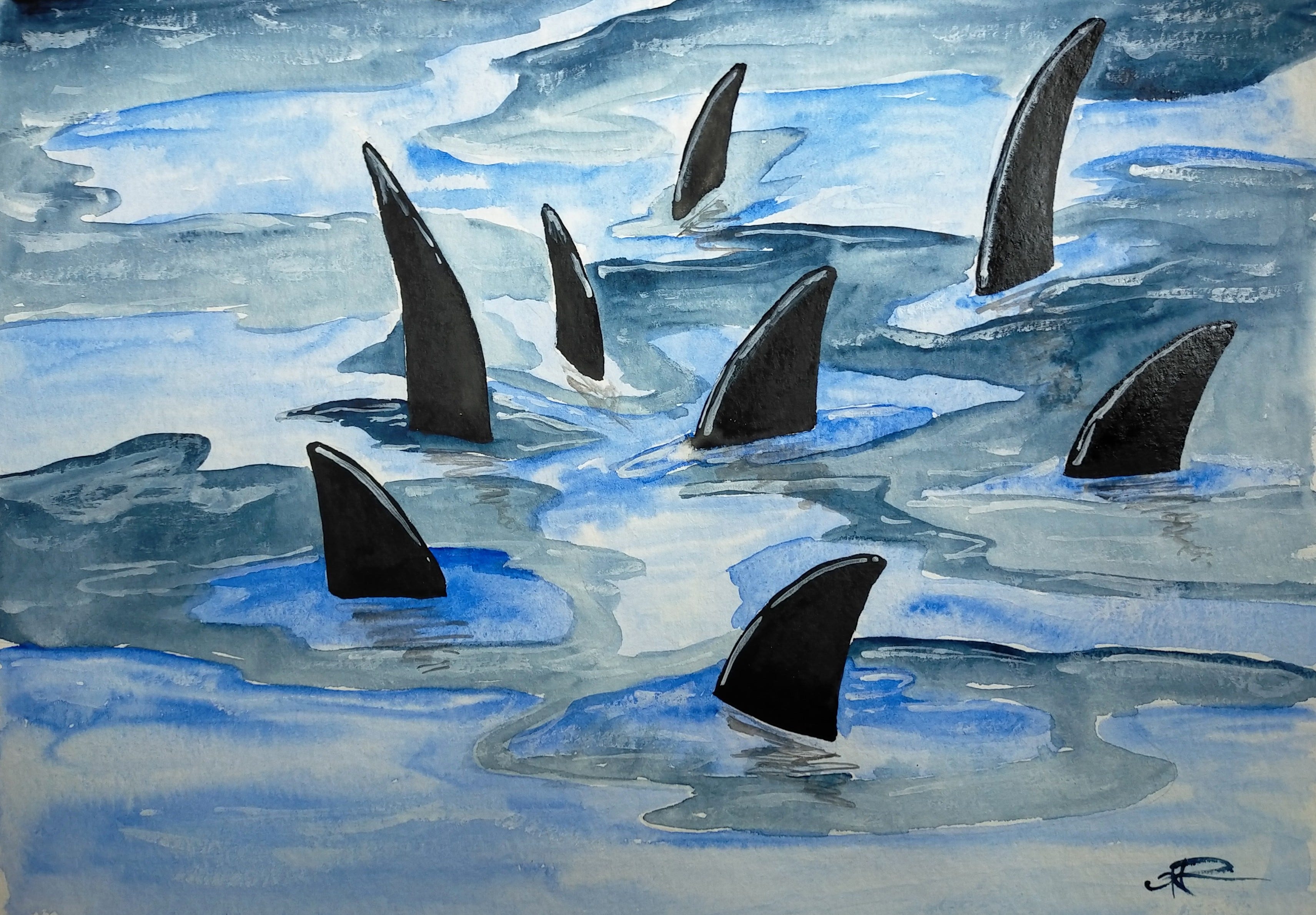 Orcas in the bay episode artwork