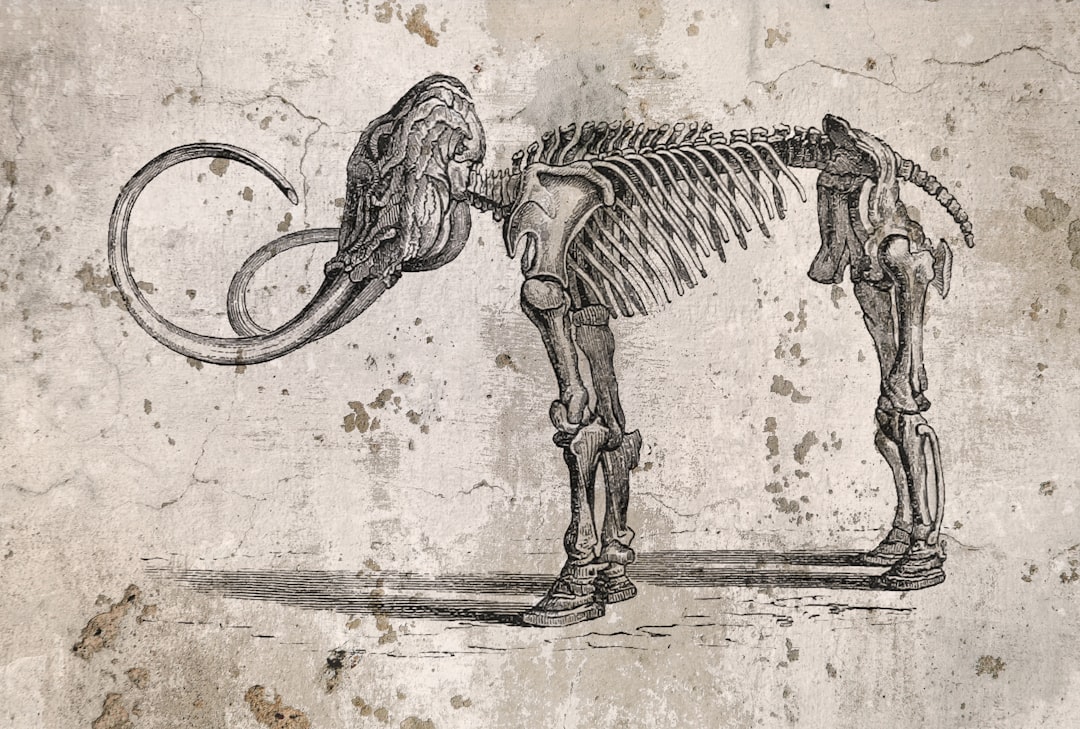 Ep 49 - Mammoths, Moonshots, and the Messiness of Life Ep 49 - Mammoths, Moonshots, and the Messiness of Life