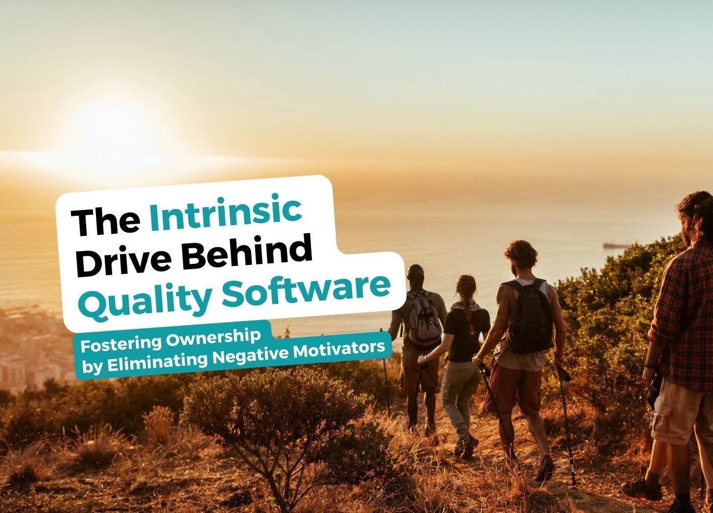 The Intrinsic Drive Behind Quality Software - The Human