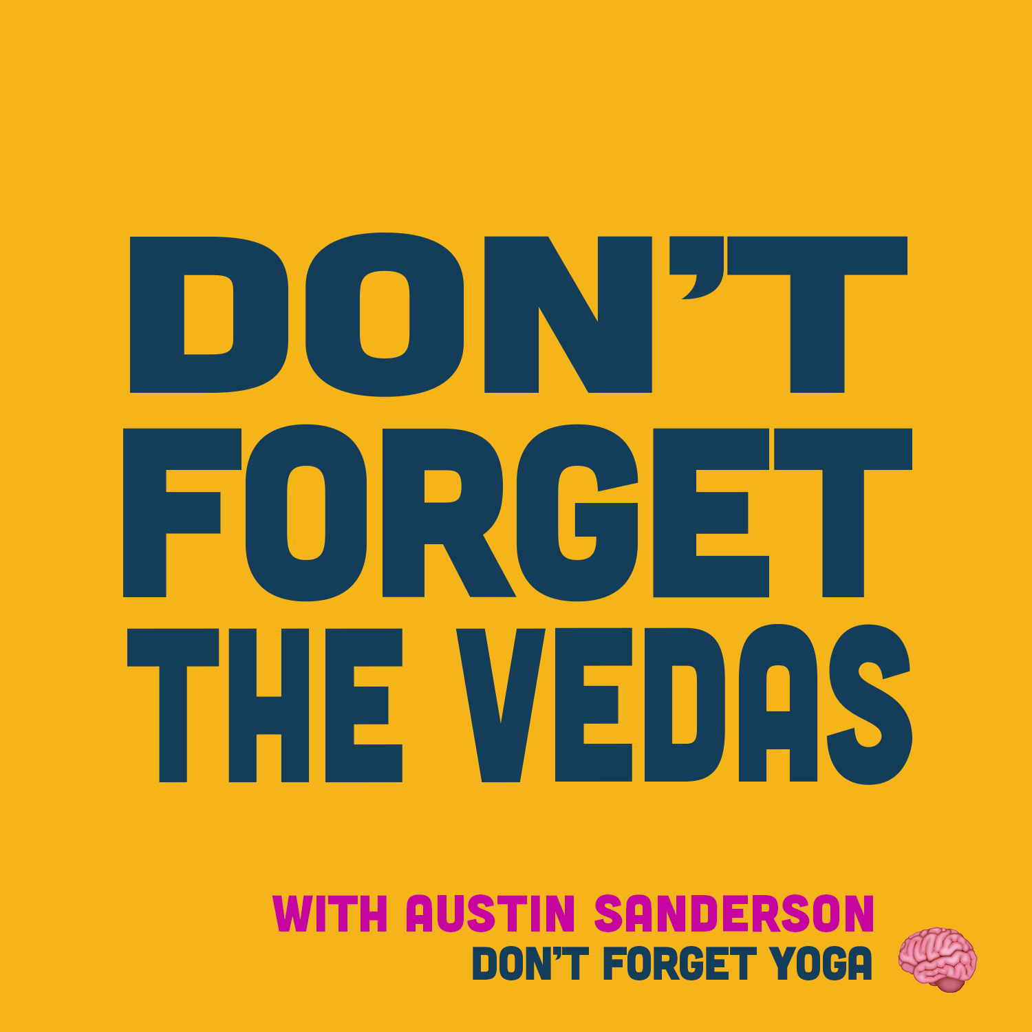 #3 Don't Forget the Vedas with Austin Sanderson