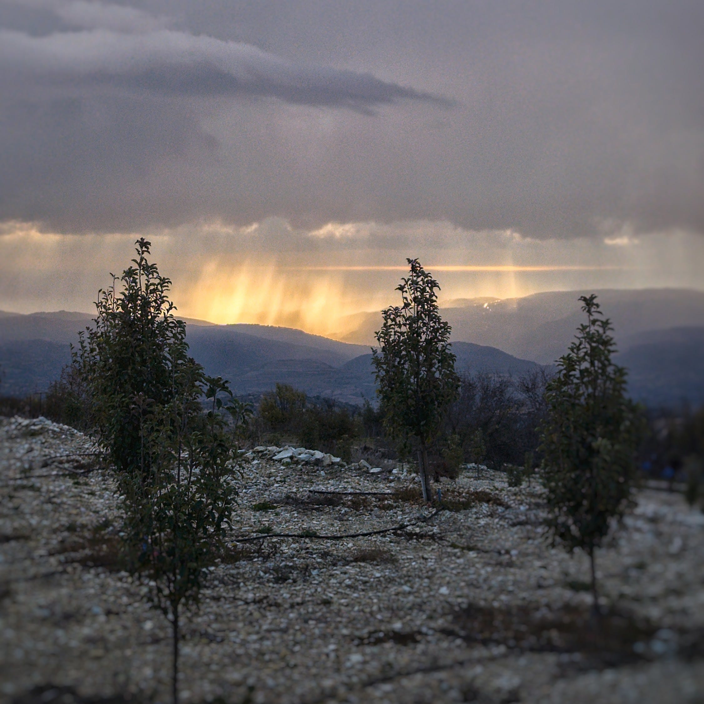 A Lap of West Cyprus