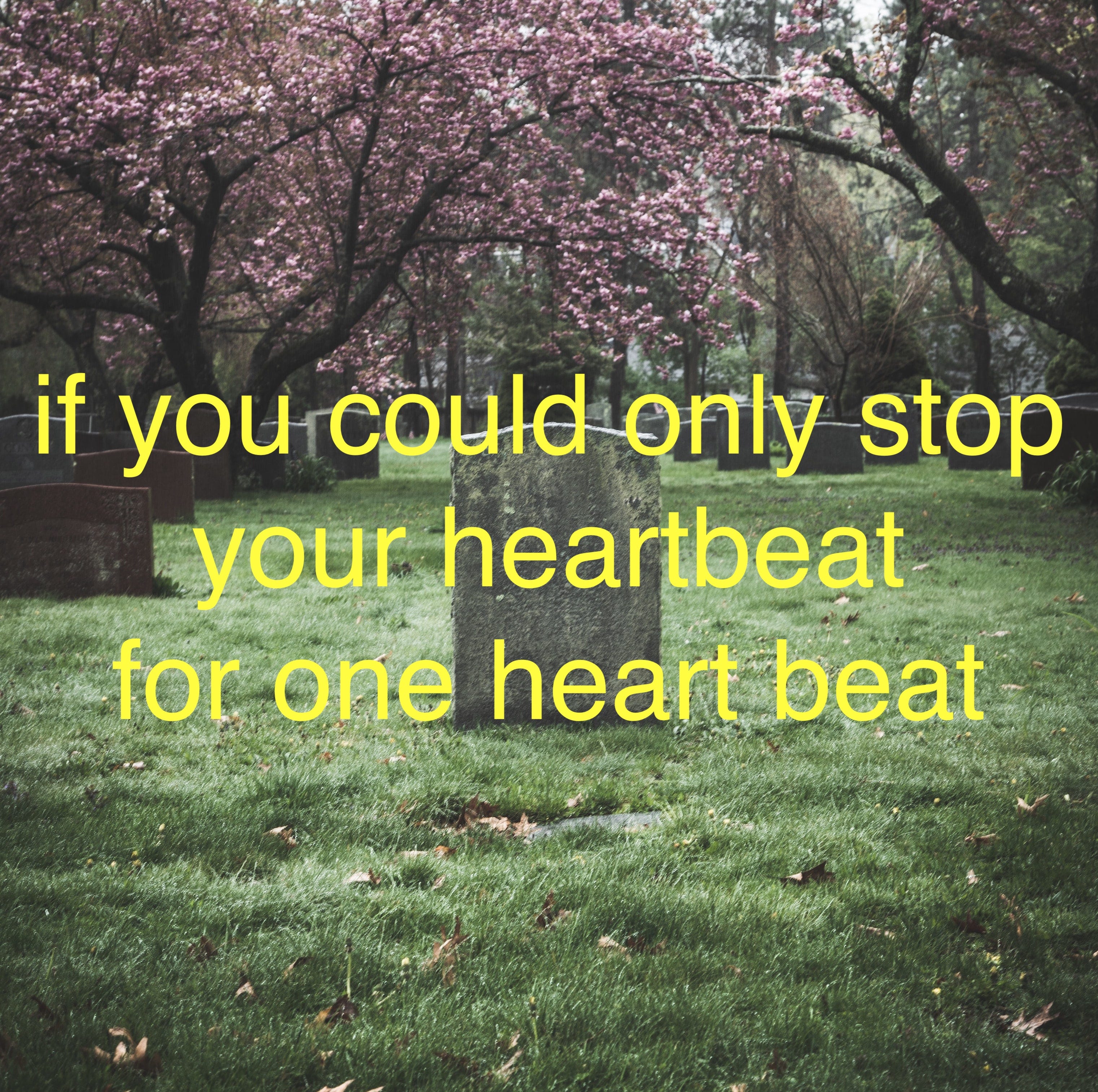 62. if you could only stop your heartbeat for one heart beat episode artwork