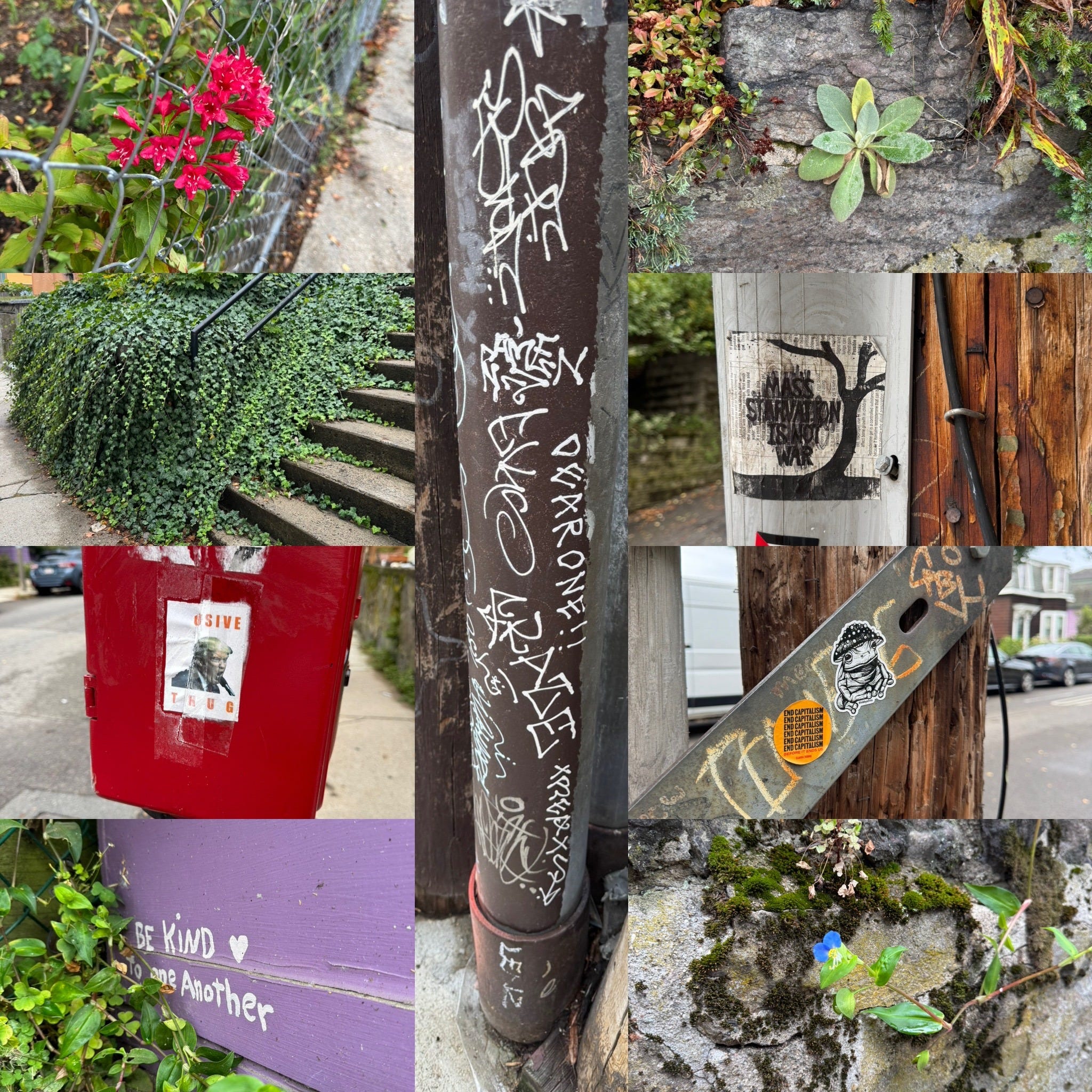 Lizzy Co and The Artist\'s Way