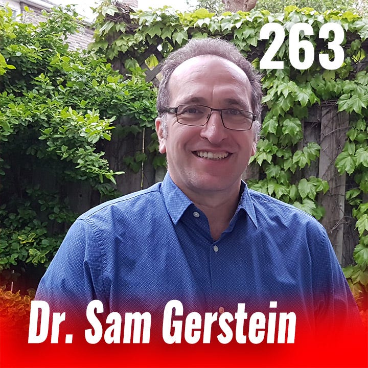 263: The Mind-Body Connection with Dr. Sam Gerstein
