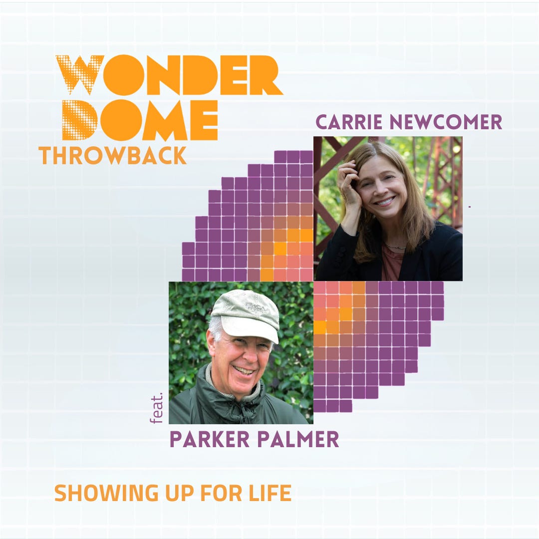 The Wonder Dome
