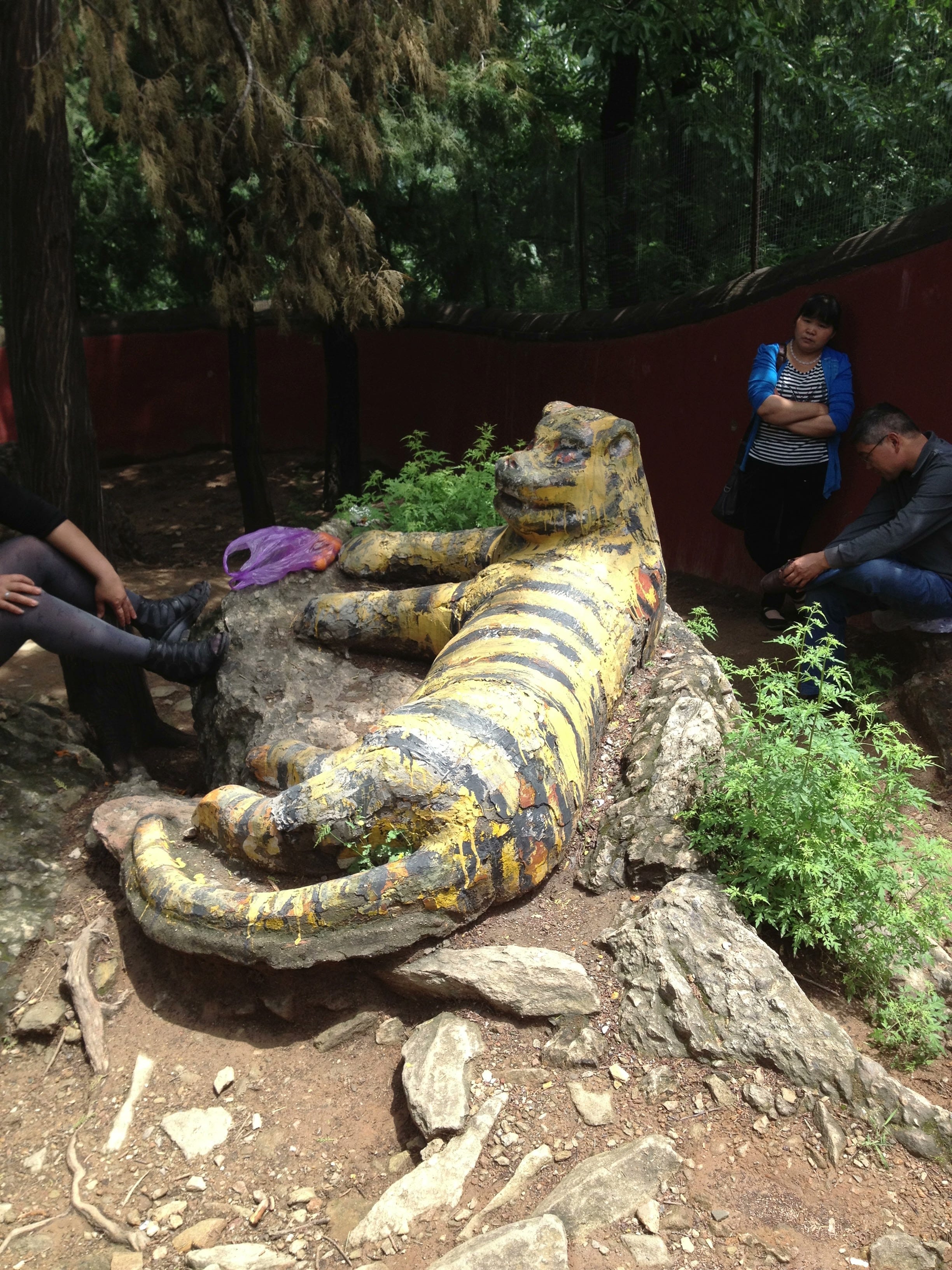 Sharp China: Nvidia Can Sell H20 Chips to China Again; Trump Softening on China?; A Flurry of Xi Activity; Yang Hansen at NBA Summer League