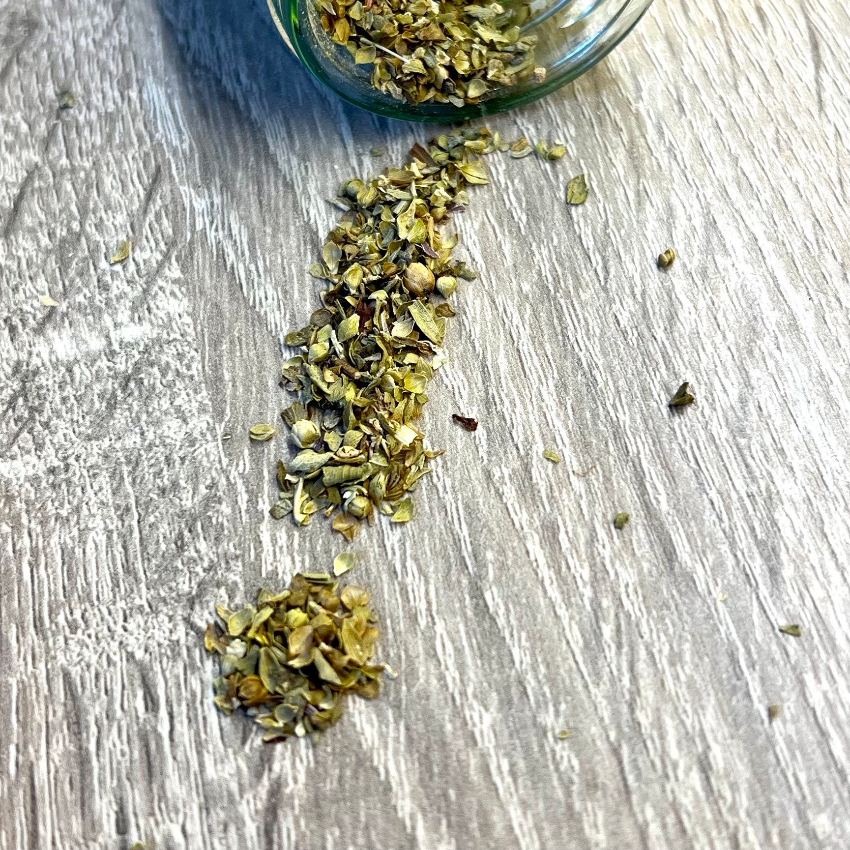 EARWORMS - Audio Tales From The Quick And The Dread