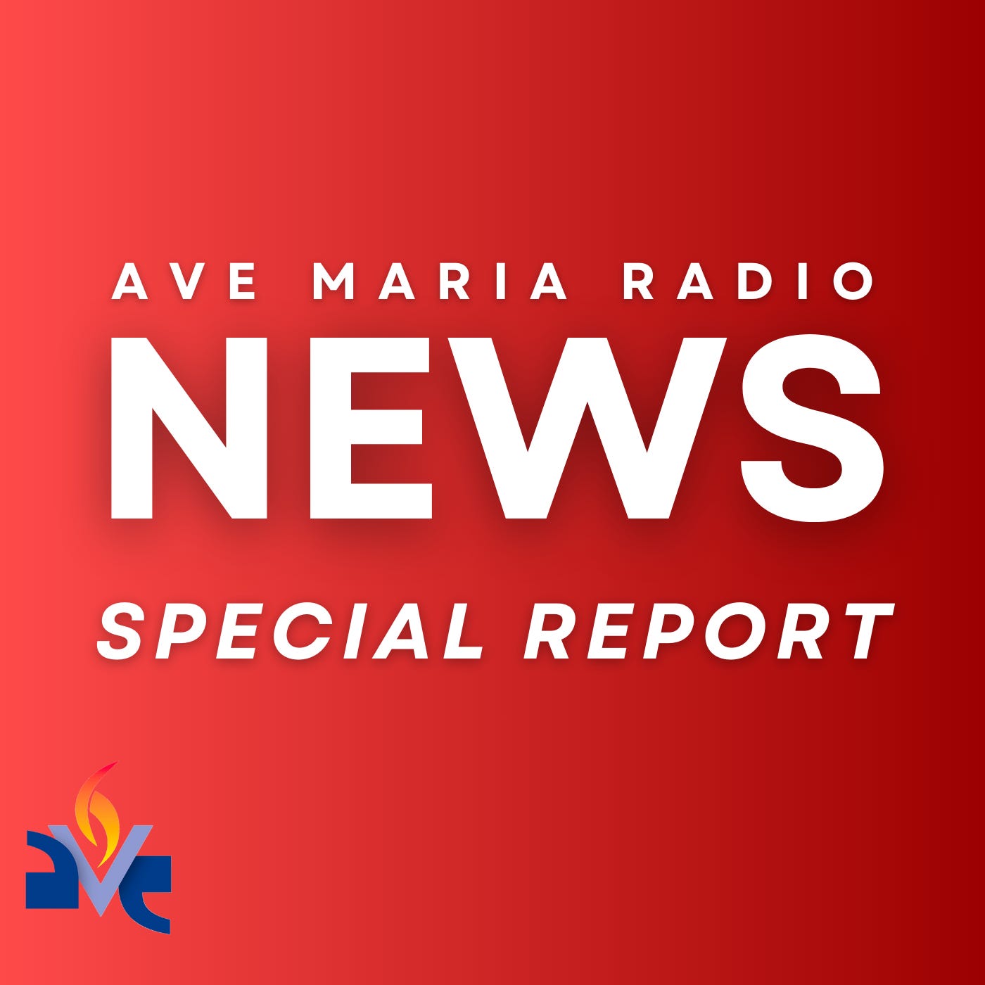 SPECIAL REPORT: Two children dead following shooting at Minneapolis Catholic school episode artwork