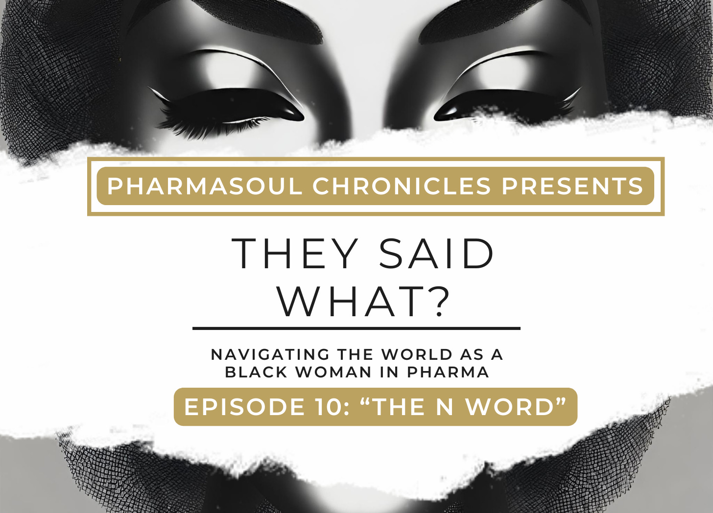They Said What?: "The N Word" episode artwork