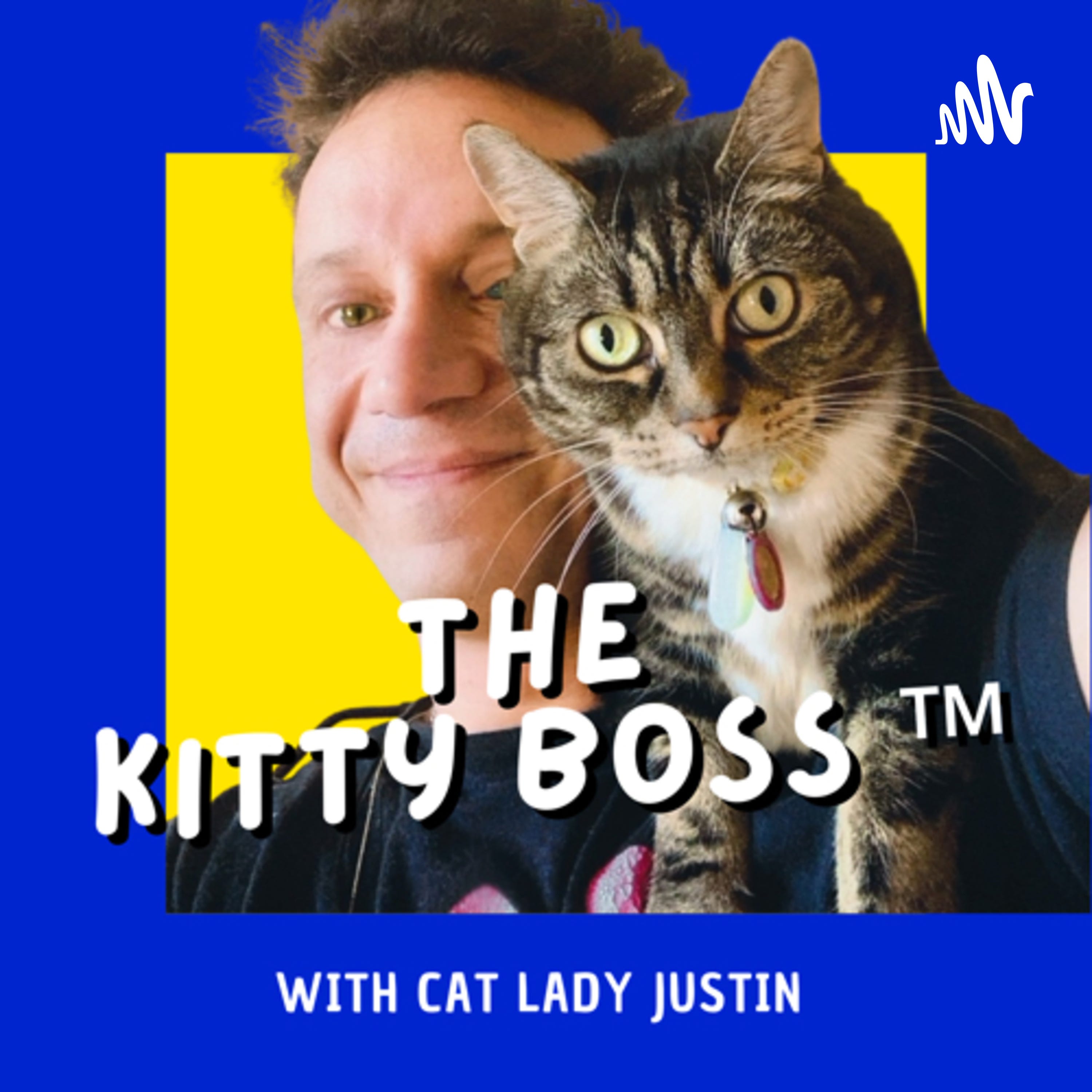 The Kitty Boss starring Cat Lady Justin episode artwork