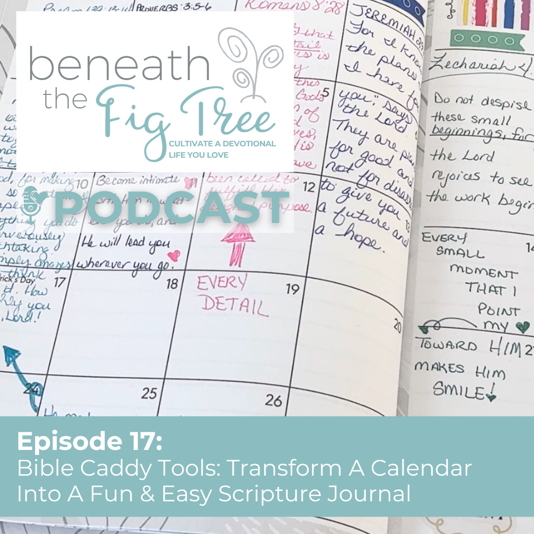 17: Bible Caddy Tools: Transform A Calendar Into A Fun & Easy Scripture Journal episode artwork