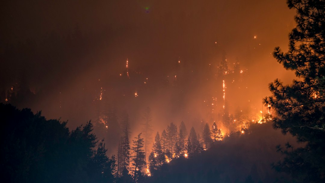 The California Fires are a Disaster. The American Cruelty is a Tragedy. episode artwork