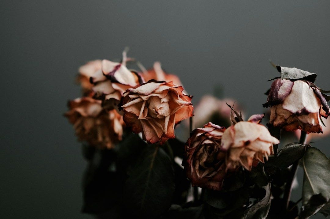 On The Day I Die On The Day I Die